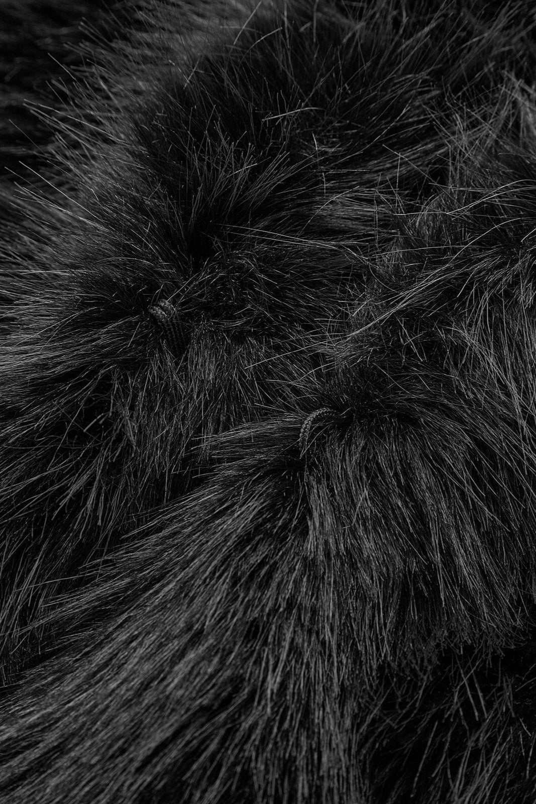 Veste - Noir Élégance